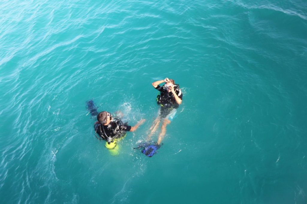 Photos and Videos from Aruba Permier Boat and Dive'x Excursions